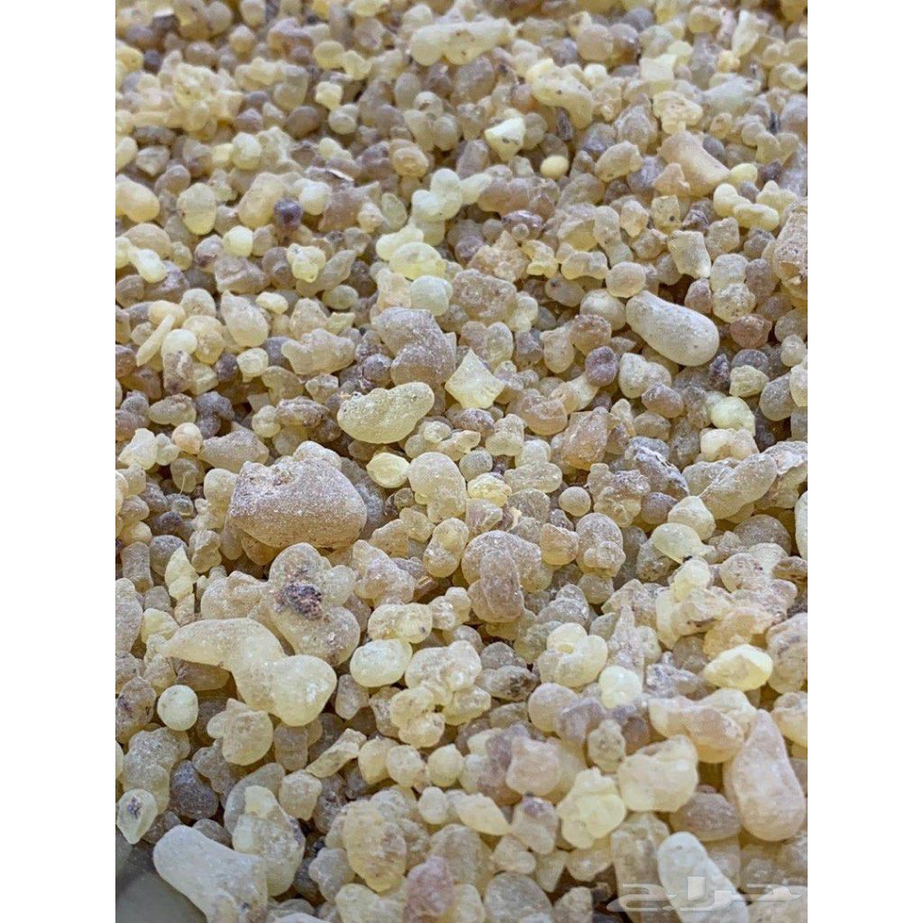 Luban Sudan @ กํายาน Sudanse