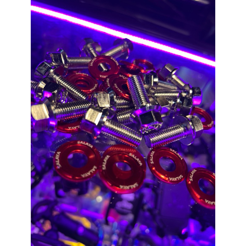 SALAYA M10-25 SCREW CALIPER SCREW FORK SCREW SALAYA STAINLESS STEEL CALIPER SILVER SCREW SALAYA WASH