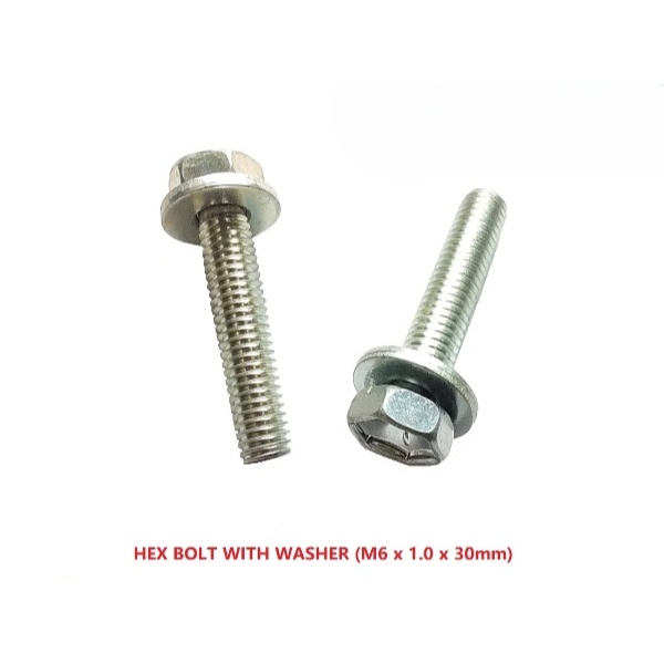 BOLT HEX WITH WASHER (M6 x 1.0 x 30mm)