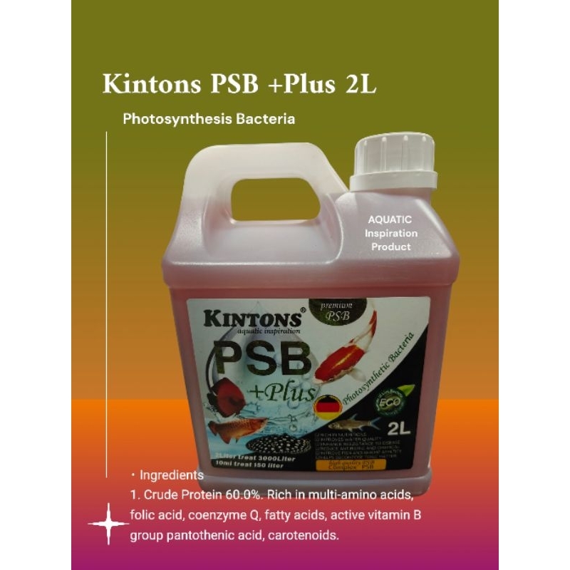 Kintons PSB +Plus 2L (แบคทีเรียสังเคราะห์ภาพ)