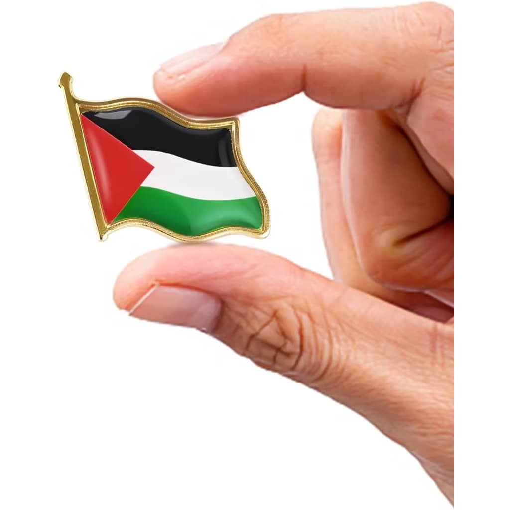 PIN PALESTINE FLAG BROOCH PIN FLAG PALESTINE และ