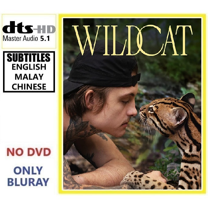 W611 Wildcat (2022) Documentary Dokumentari