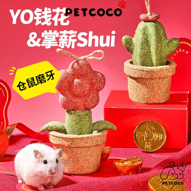 สัตว์เลี้ยงโคโคโค GuaiJuan หนูแฮมสเตอร์ Molar Tree Timothy Molar Mushroom Syrian คนแคระหนูตะเภากระต่าย | 卷 食 磨牙棒可食用可调景养天然植物天然花园苹果金丝