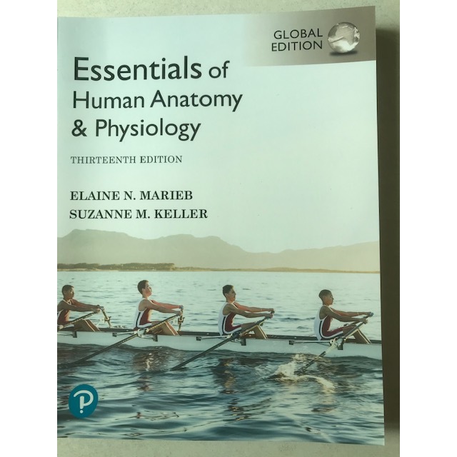 Essentials of Human Anatomy and Physiology, 13e โดย Marieb