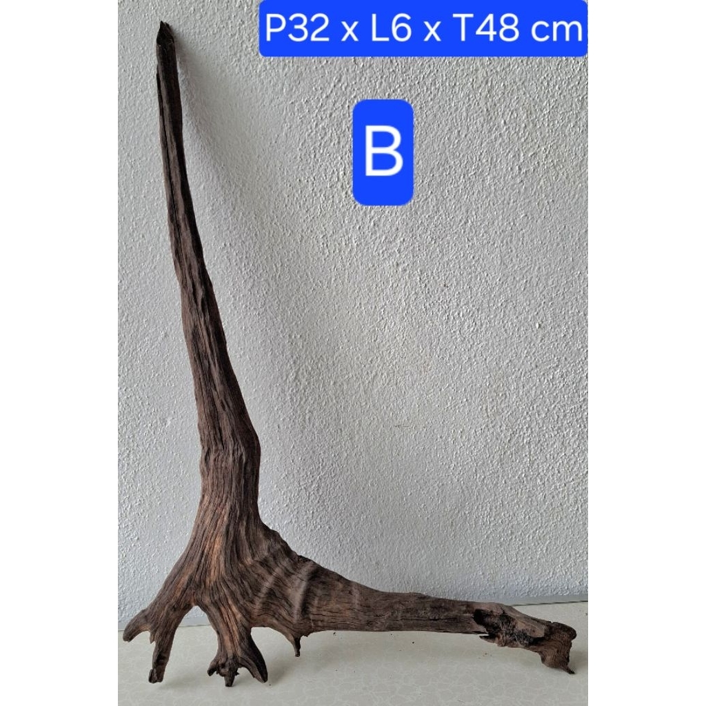 MERDEKA DRIFT 2025WOOD AQUASCAPE