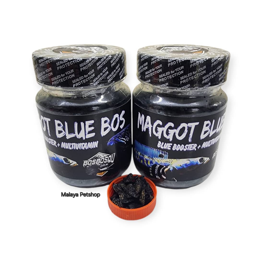 Maggot Blue Bos 40 กรัม (Maggot Blue Booster + Multivitamin)(Sesuai channa auranti, andrao, pulchra)