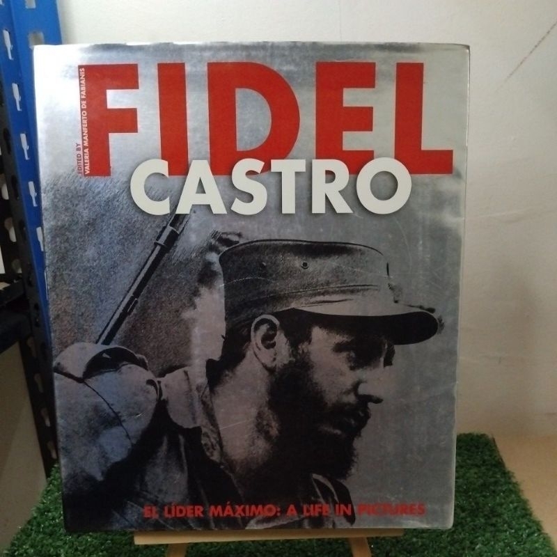 Fidel Castro by Valeria Manferto De Fabians
