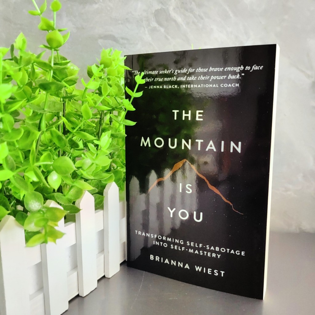 The Mountain Is You: Transforming Self-Sabotage Into Self-Mastery Self Help Book หนังสือภาษาอังกฤษ