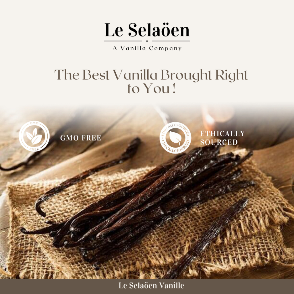Planifolia Vanilla Bean / Vanilla Pod ถั่ววานิลลา ราคา ถูกที่สุด ดีลบีเคเค แกลเลอรีภาพที่ 2
