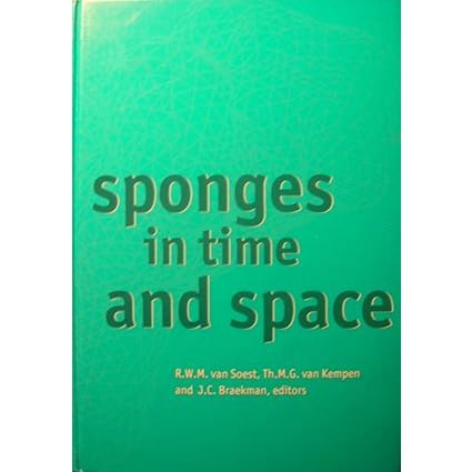 ฟองน้ําใน Time & Space รุ่นที่ 1 โดย Jean-Claude Braekman (Editor), Theo MG van Kampen (Editor), Rob
