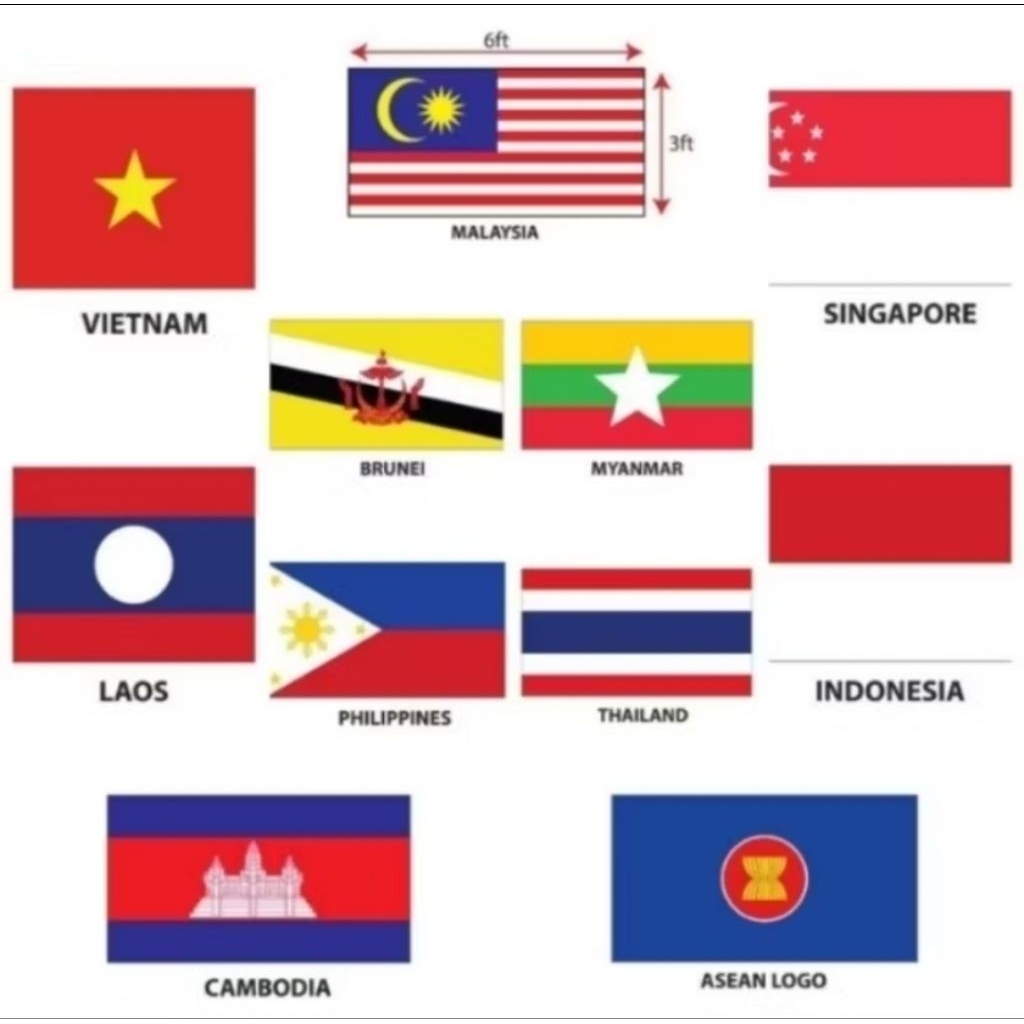 Asean Country Flag 3x6ft, Bendera Asean 3x6ft ทําด้วยผ้าขนสัตว์