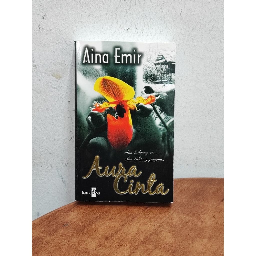(MAL) Aina Emir - Aura Cinta