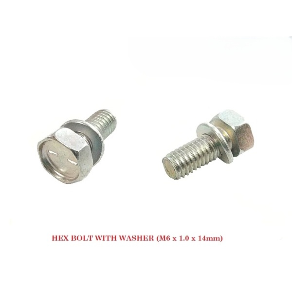 BOLT HEX WITH WASHER (M6 X 1.0 X 14mm)
