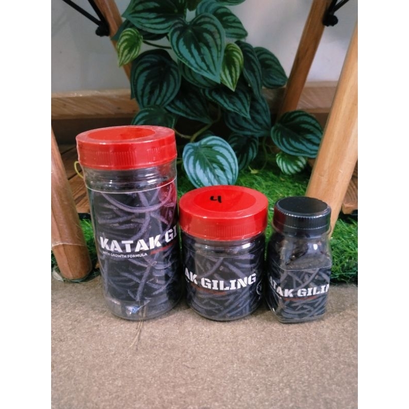 Katak giling by gogochanna 100% (มีขนาด 2mm&4mm