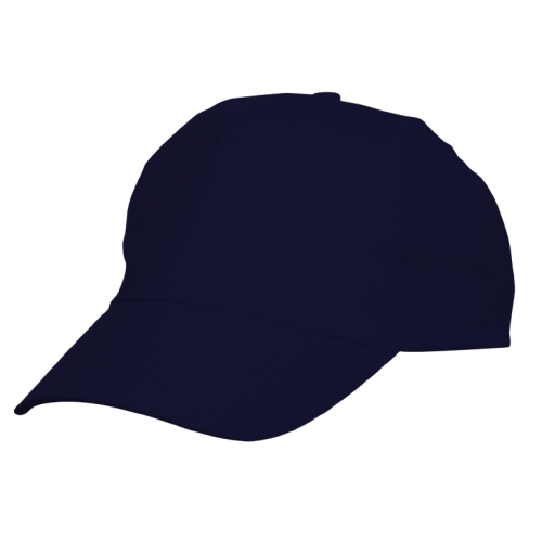 BASEBALL CAP (6 PANEL) / TRCKER CAP/ HIP POP/ SPORT