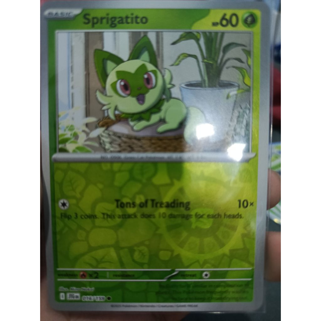 Pokemon TCG Sprigatito Journey Together