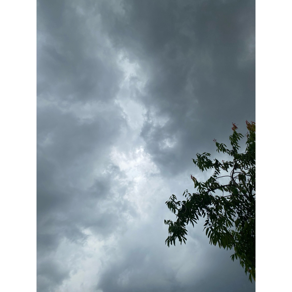 PARCEL POSTED (25 JULY 2025-27 JULY 2025)