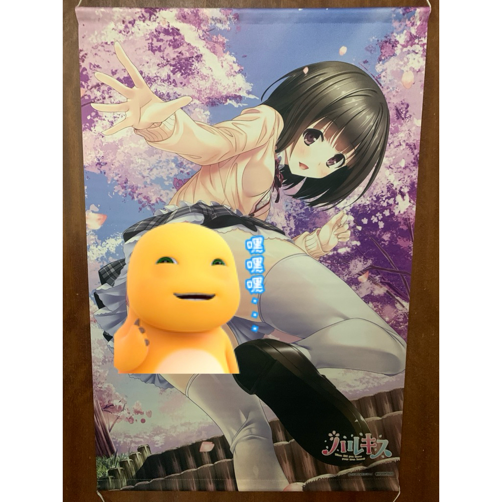 Konomi Seto B2 Tapestry "PS4/Switch Software Harukis" Gamers ซื้อ Bonus