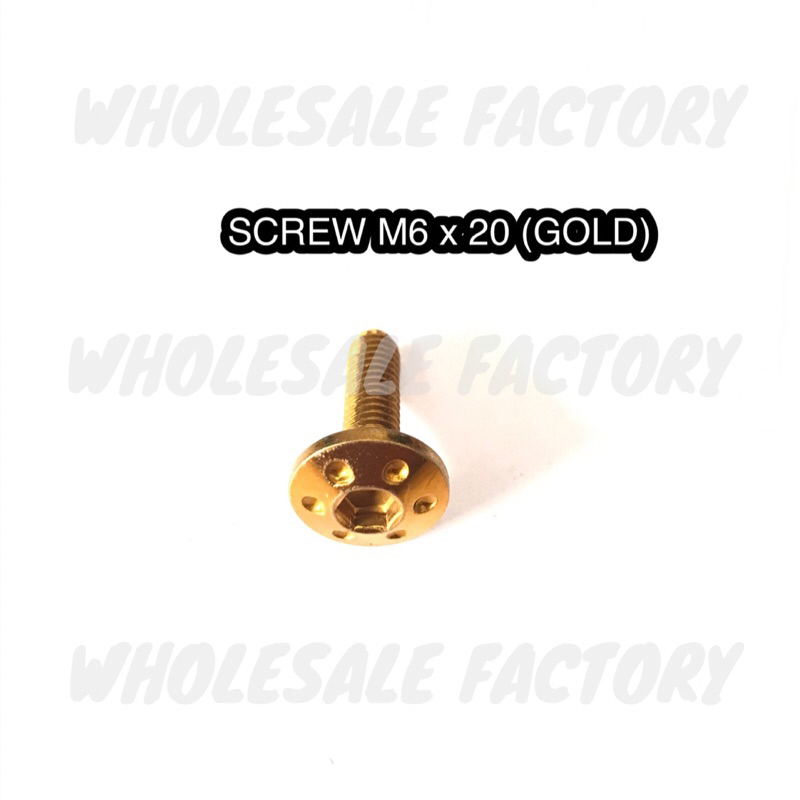 SCREW M5 x 15 / M6 x 20 / M8 x 25 / M8 x 35 / M10 x 25 (GOLD / TITANIUM)