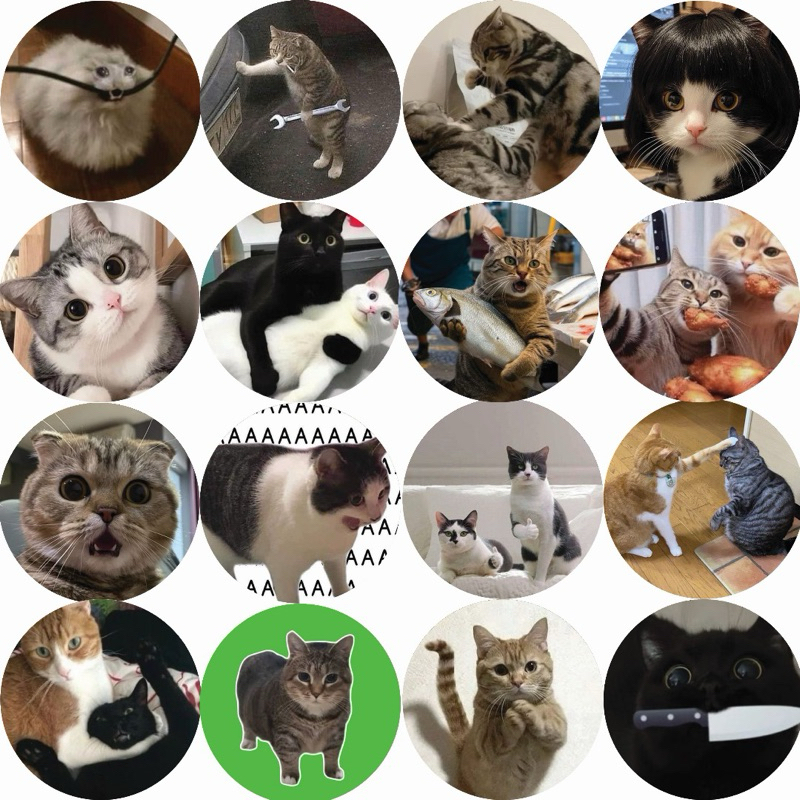 Cat and Oyen Funny 6 Meme 58mm Button Badge Pin oiia oiia