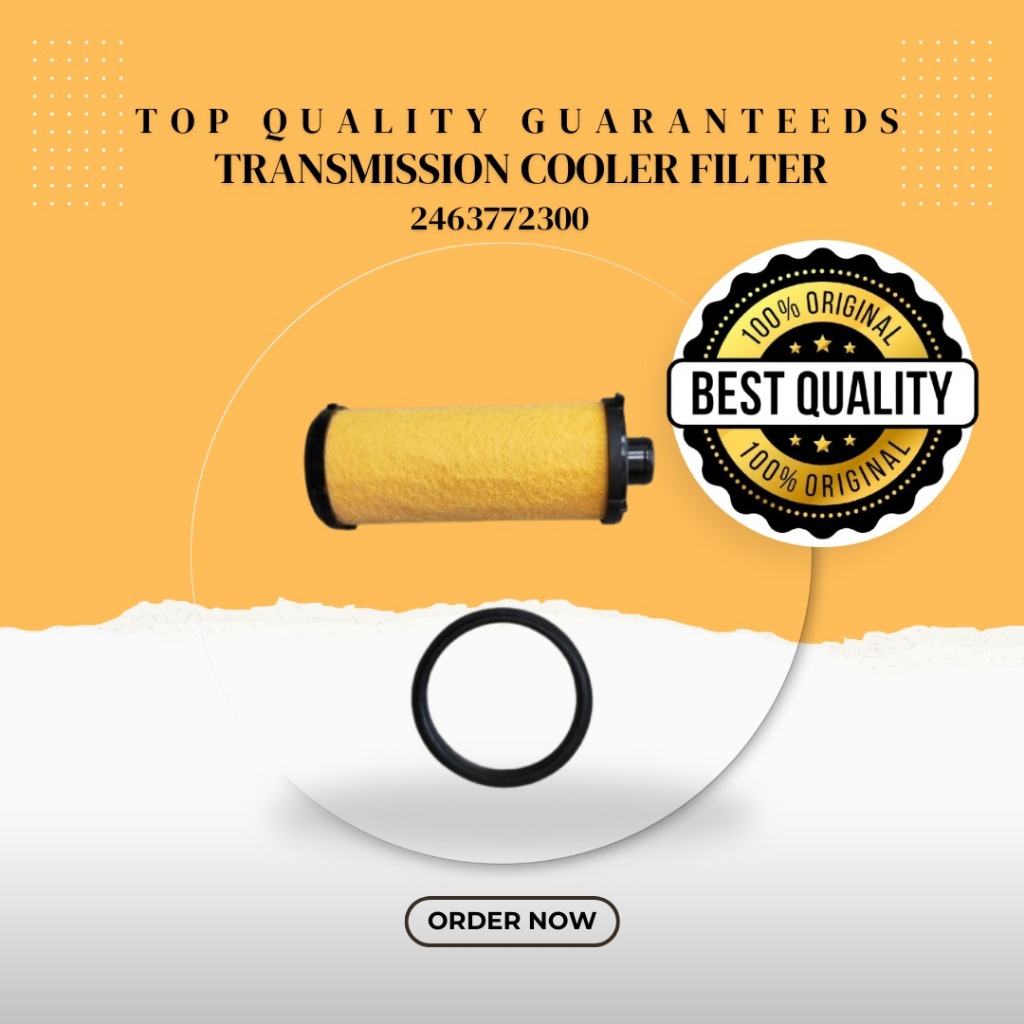 SWGE Mercedes Benz เกียร์อัตโนมัติ Cooler Filter W117 W176 W246 724-0 2463770495 2463772300 W246 W24