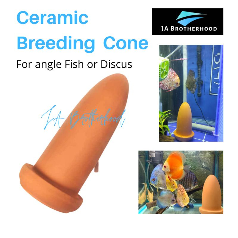 Breeding Cones Spwaw Breed Cone สําหรับ Discus Fish Pembikan Ikan Discus Fish Tank Reproduction Orna