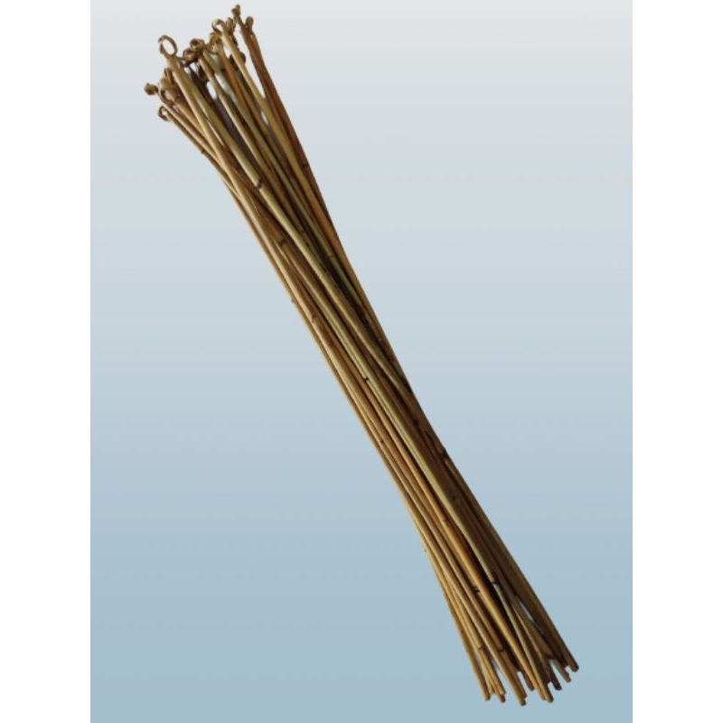 70ซม.+- Rotan / Titicane Rotan Buddhaal /Natural Sega Stick หวาย