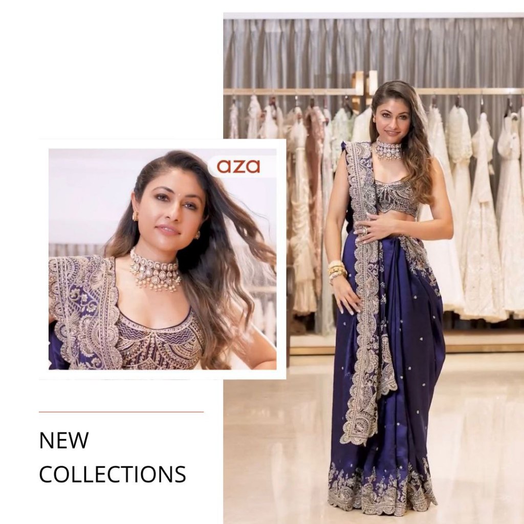 RANGOLI SILK SAREE DINNER สวมสีน้ําเงิน