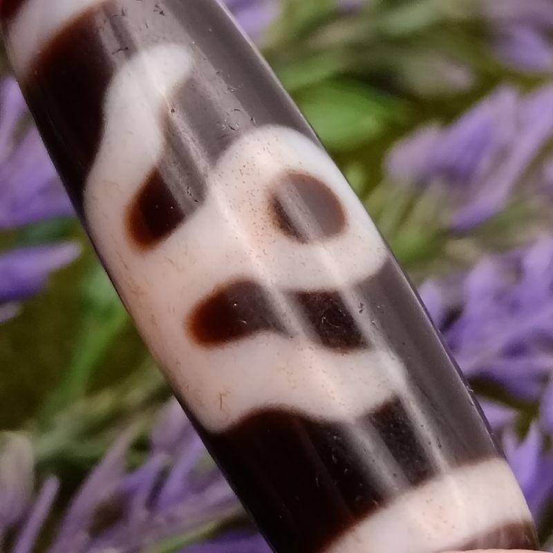 35.6 มม.x 11.5 มม.น้ํามัน Cinnabar Noble Dzi Dzi ผู้ใหญ่ Dzi Dzi Dristocrat Dzi Monseigneur Dzi Mani