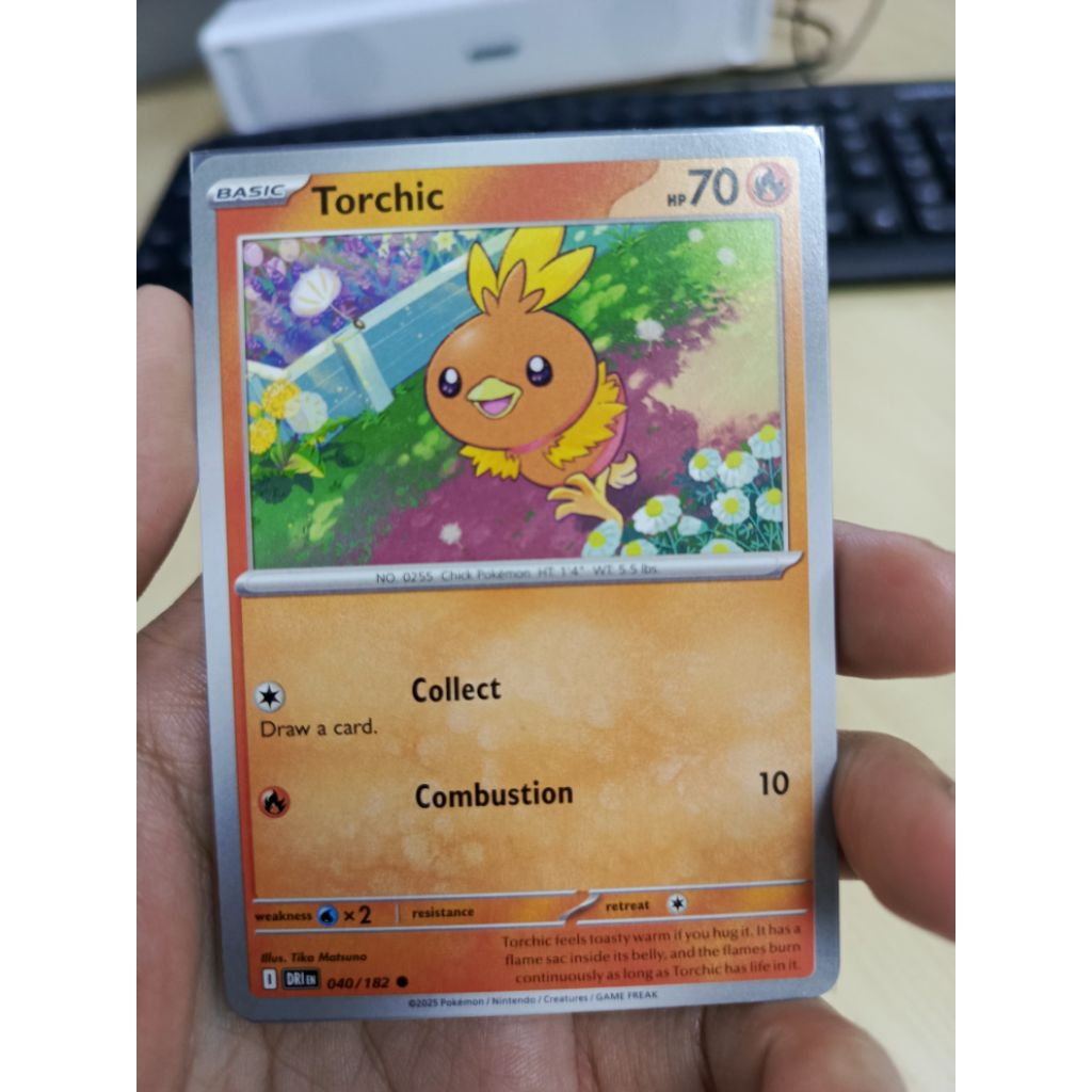 Pokemon TCG Torchic Destined Rivals