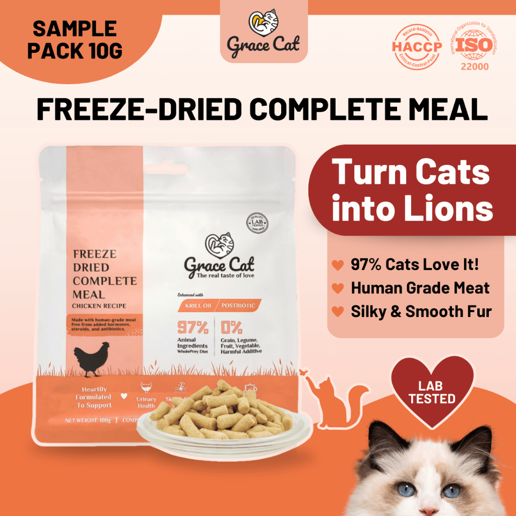 Grace Cat Freeze Dry Complete Meal - Premium Raw Urinary & Hypoallergenic Senior Cat & Kitten Food -