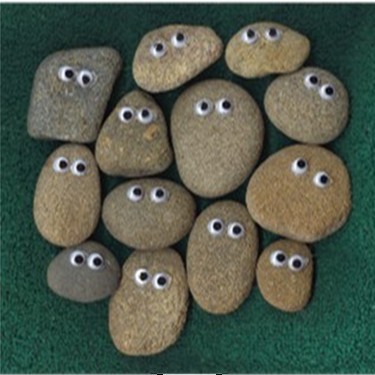ของเล่น PET ROCK พร้อม GOGGLY EYES เพื่อเล่น สุ่ม 1 ชิ้น