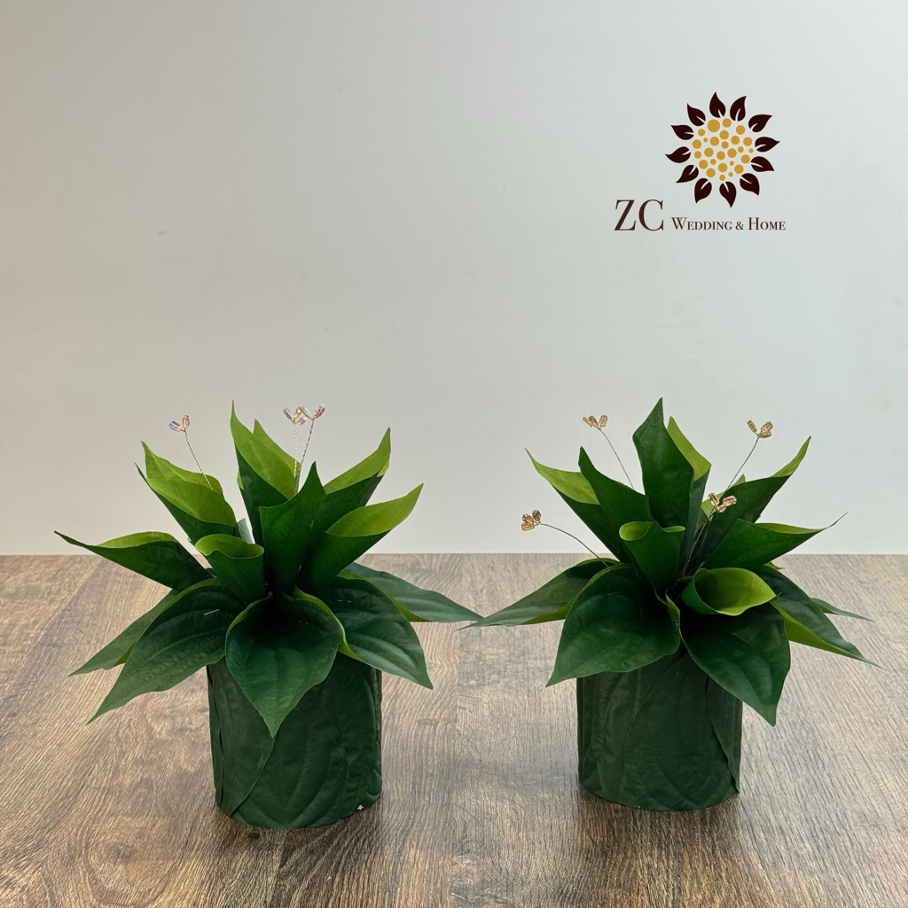 สิริห์ จุนจองประดิษฐ์ (BOM2435)