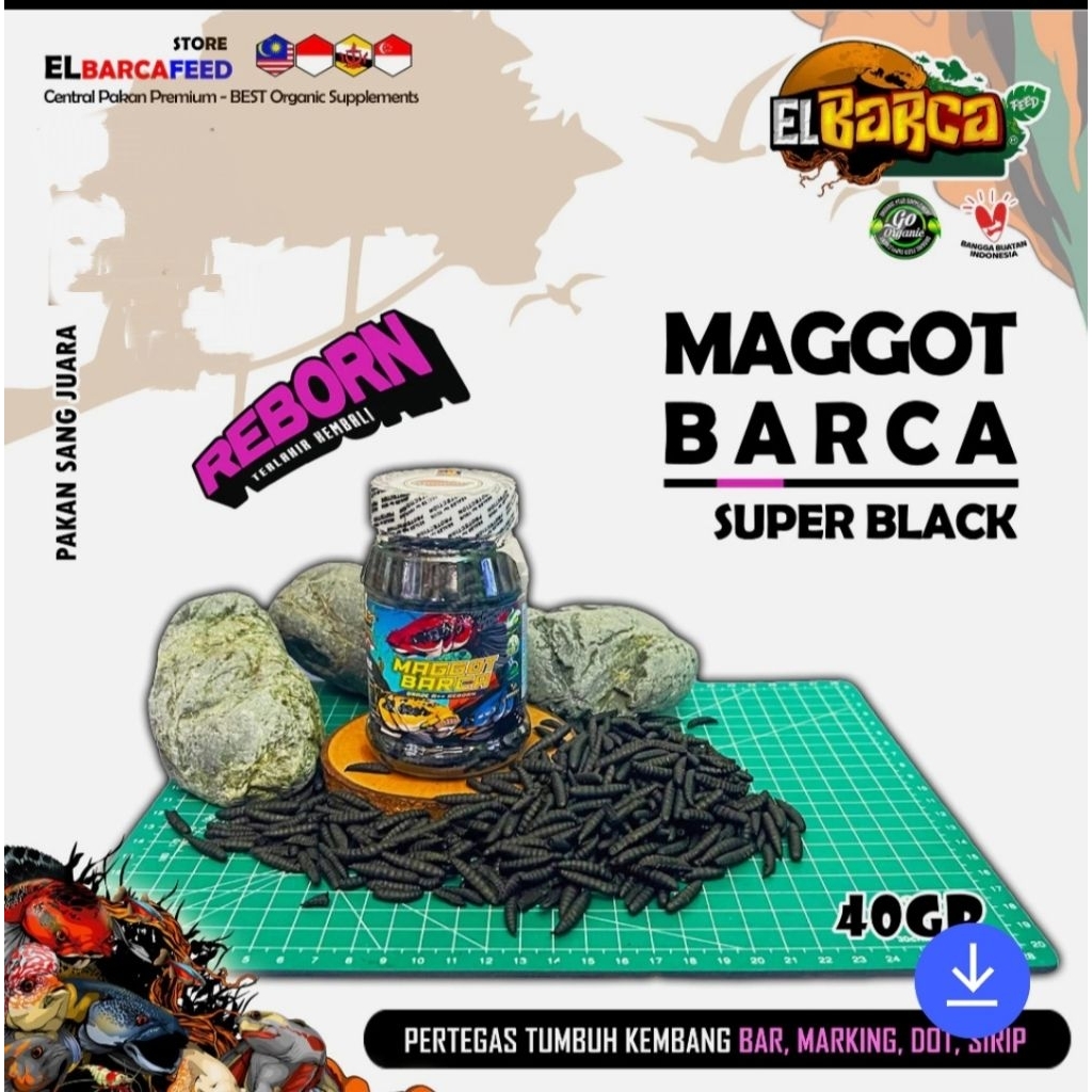 MAGGOT BARCA SUPER BLACK Booster Bunga Solid Pakan ikan predator channa pertegas bar เครื่องหมายจุด