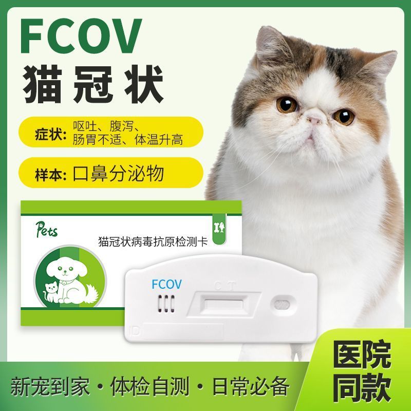 猫冠达测温卡ชุดทดสอบ Fcov สําหรับแมว 猫冠达速测温纸