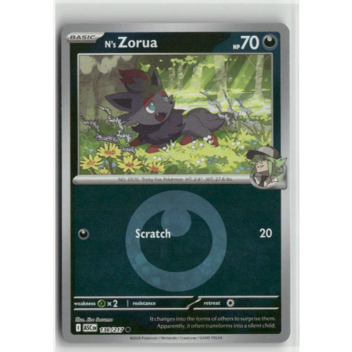 Ns Zorua 136/217 Reverse Holo Ascended Heroes Pokemon TCG