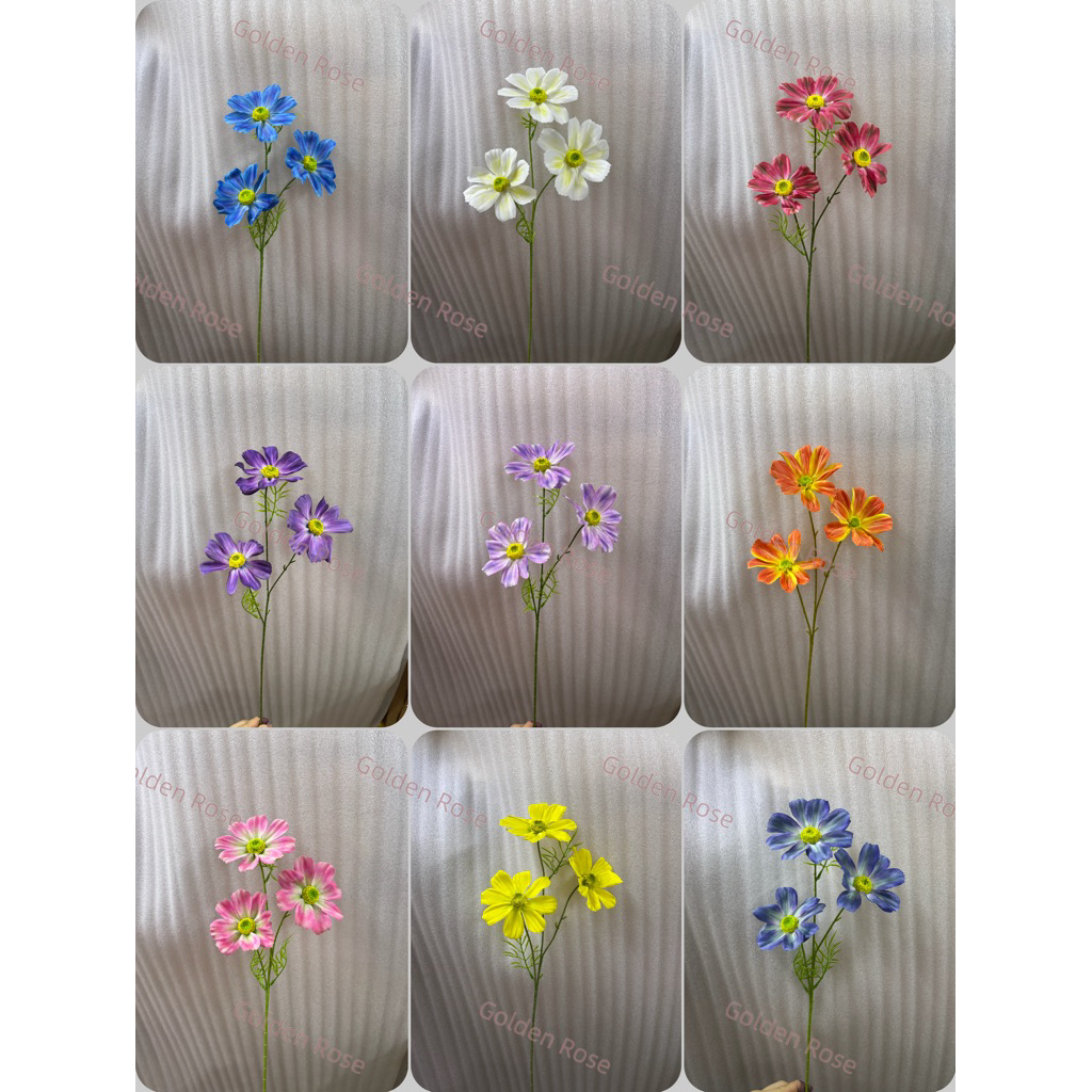 🇲🇾Gesang Cosmos Daisy Flower 3Head