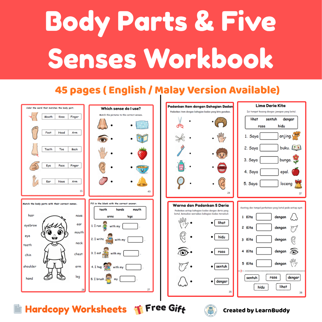 Body Parts & 5 Senses Worksheet Age 3+ English+Malay| Kertas Latihan Anggota Badan & 5 Deria Umur 3+