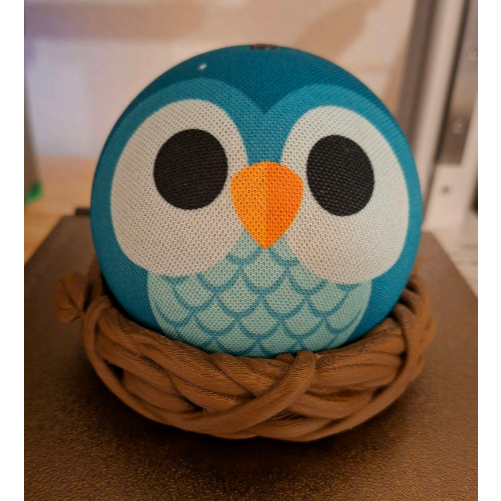 ที่วางรังของนกฮูก Echo Dot Bird