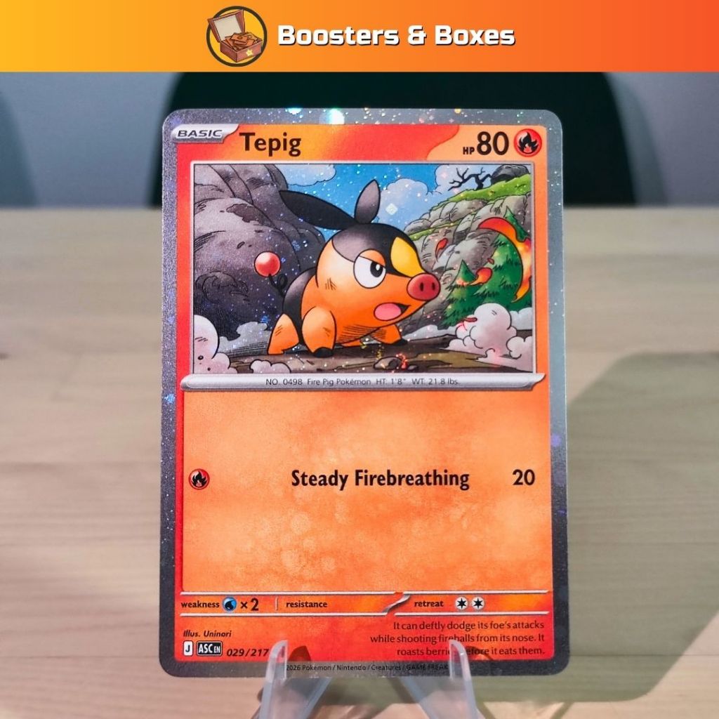 Tepig (029/217) (Cosmos Holo)
