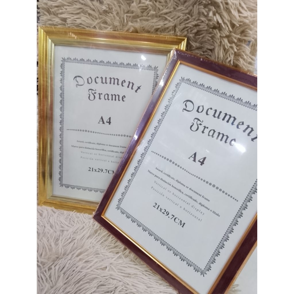A4 DOCUMENT FRAME 21x29.7ซม