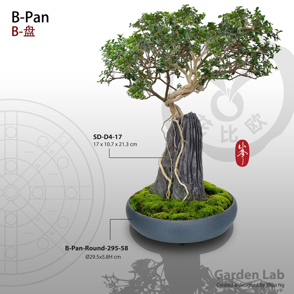 ชุด BP-R295-D4 ,ห้องปฏิบัติการสวน,(3DPrinted Pot and rock), Bonsai Pan with rock, (ไม่มีพืช)