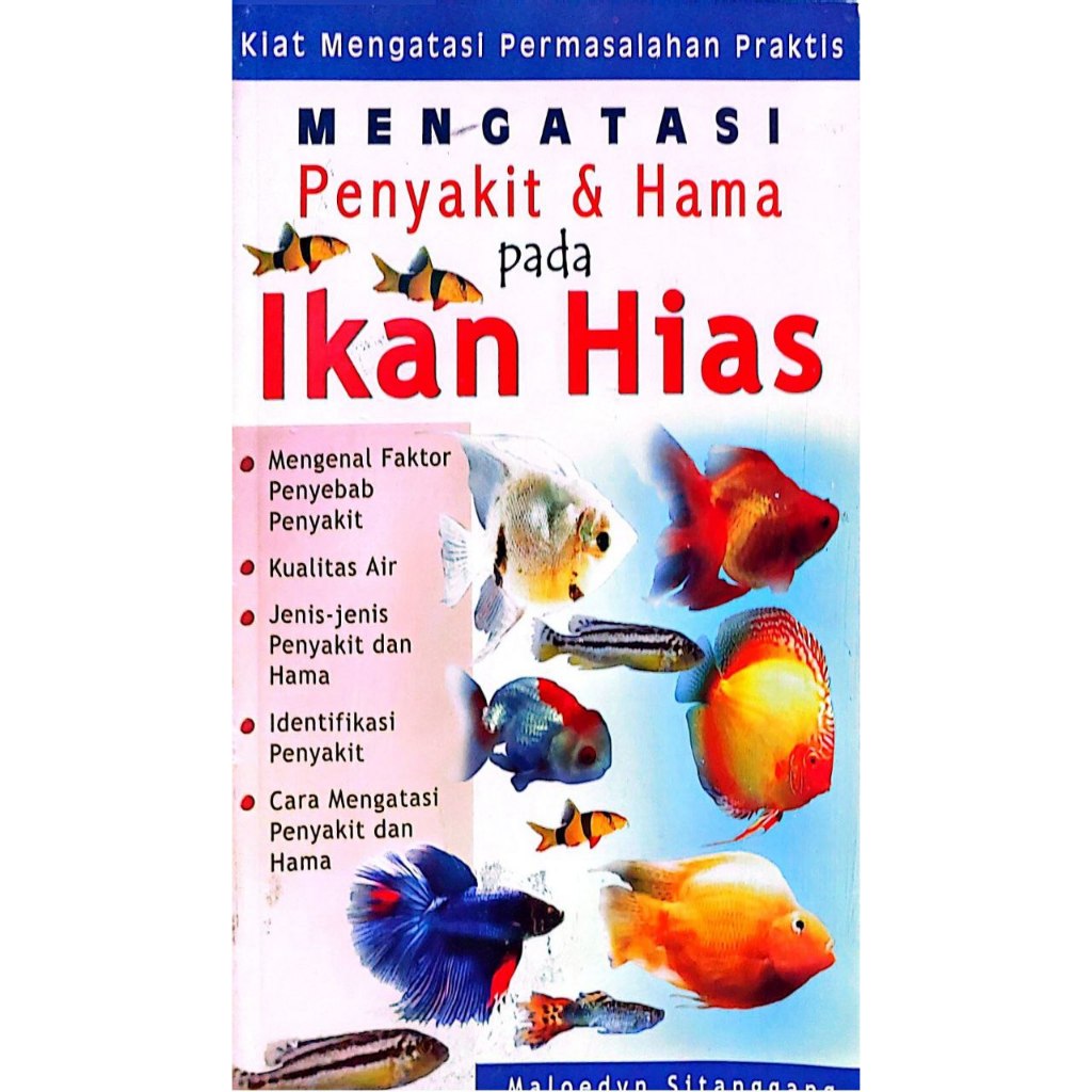 ป้องกันปลาทองที่ตายแล้ว - MR24