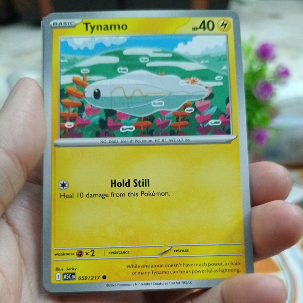 โปเกมอน TCG Tynamo Ascended Heros