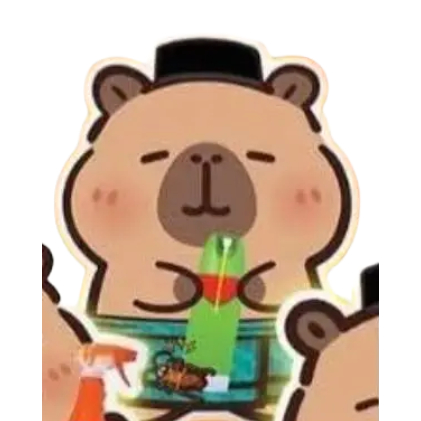 หมอน SC Johnson Capybara