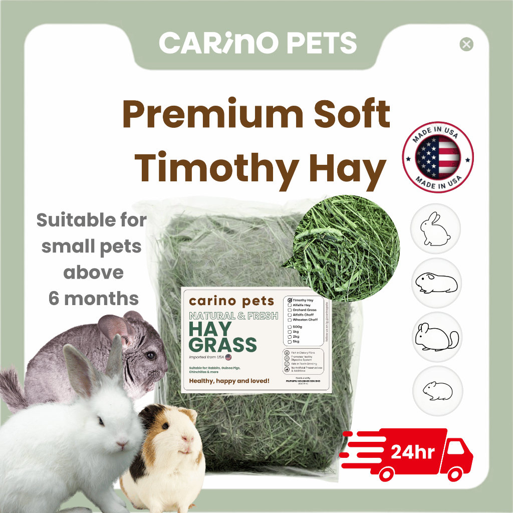 [24HR SHIP] PREMIUM SOFT TIMOTHY HAY นําเข้า Timothy Alfalfa Orchard Lucerne Hay กระต่าย Guinea Pig 