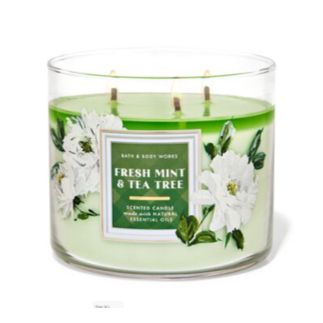 Bath & body works Fresh Mint & Tea Tree 3-Wick Candle