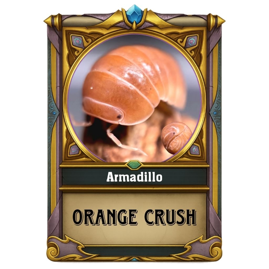 สติ๊กเกอร์สะสม Isopod - Armadillo Orange Crush