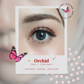 TemyLens Soft contact Lenses ( Orchid )