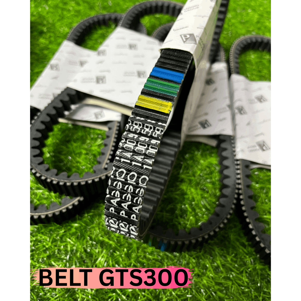 BELTING GTS300 / V-BELT GTS300 / GTS300 BELTING